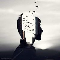 Eng-Omar Abualhija
