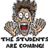 Carolina Franco Fernandez