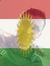 Ebdo Nabi