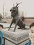 mike zhao