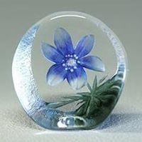 Senuri Sucharitharathna