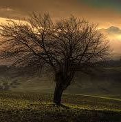 സഫലമീ യാത്ര