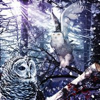 Kimberly Turkmenoglu