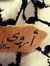 Arwa Diab