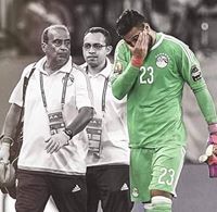Ahmed Abo SHady