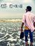 Ankit S...