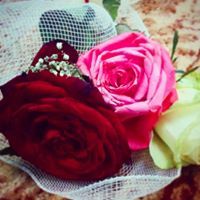 آلهجرآن الآبدي