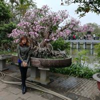 Giáp Xuân
