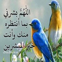 محب الصالحين