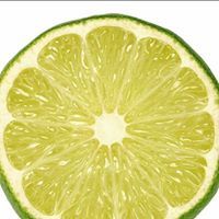 สบู่มะนาวออร์แกนิก เลม่อนไวท์โซฟ