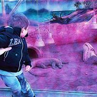 Αναστασία Ροδόλφου