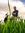 Nithin C