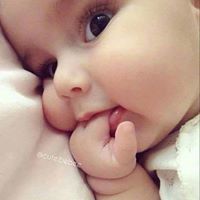 Abdulqudus Mayar Wrd