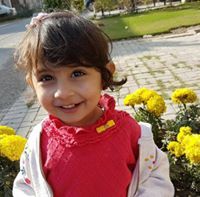 Hadee Rehmani
