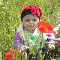 عثمان ميهوبي