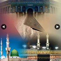 هناء الغزالي