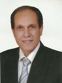 دكتورابرهيم شلبى