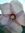 Etta.n | 93 comments