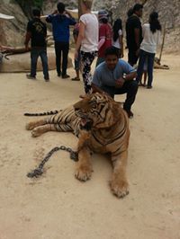 Balaji Carlos