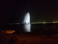 Mohammad Abo Erfan