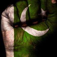 Syed Arbab