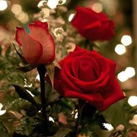 الامل القريب