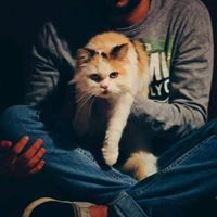 جنون آلعآطفهہ