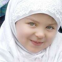 محمود السلال