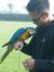 Prabu P...