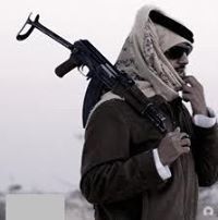 حسام الفيفى