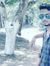 Sunil S...