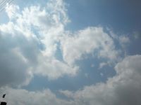 Mohamed Abdelshakour