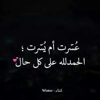 نسمات الليالى