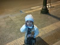 معاوية سعيد