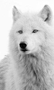 Μαρια Παπαδακη