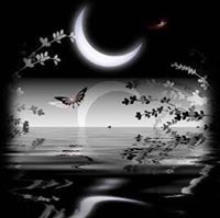 باسط محمدعلي