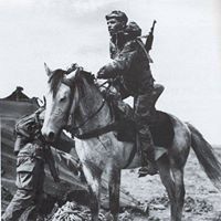 ناصر التاموقادي