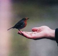 صابرين أحمد