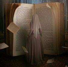 وسام أبوغالي