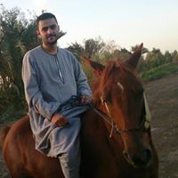 Tamer AbdelKareem