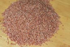 Thamaru Alagiyawanna