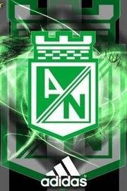 Nikolas Segura Rodriguez