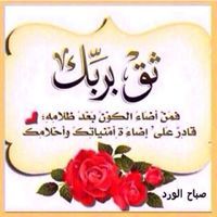 محمد أبو مودة