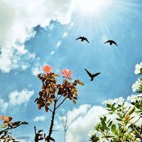 إسلاميات إسلاميات