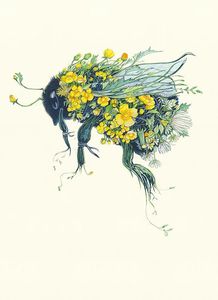 Elysabeth H 