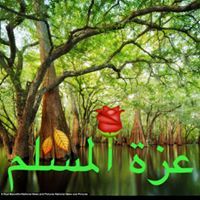 عزة المسلم