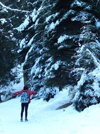 რუდი რუდი