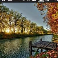 تسويق اون لاين