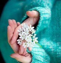 Dew Drop