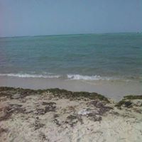 عبودي العبيدي